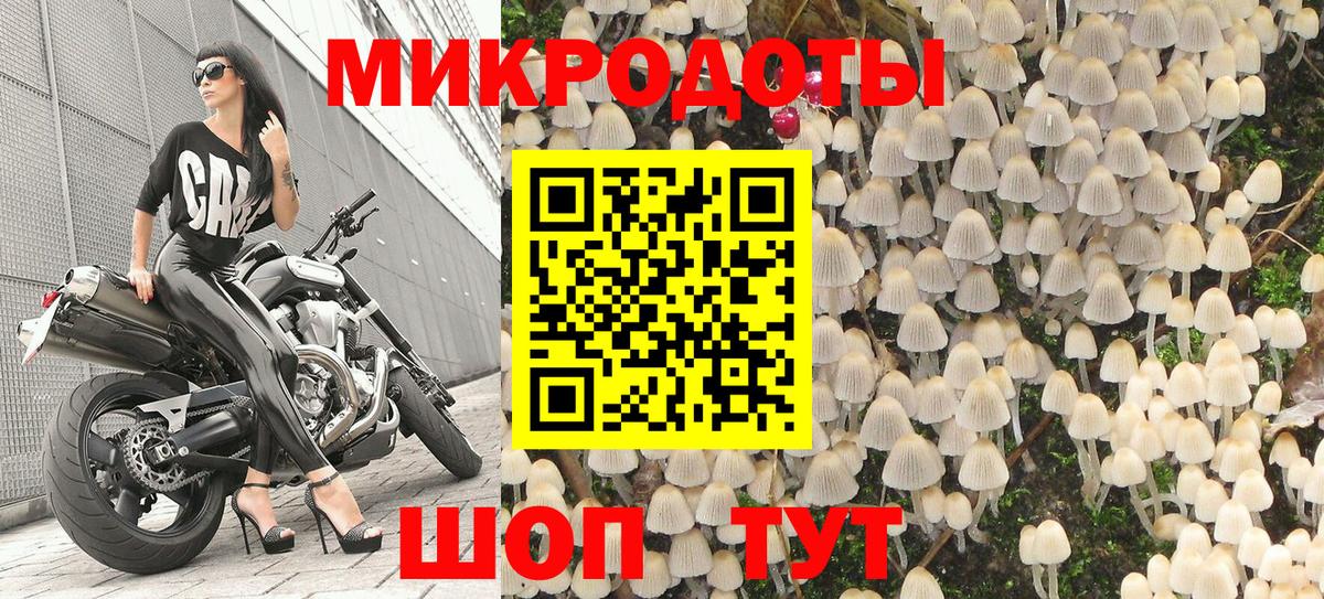 Галлюциногенные грибы Psilocybine cubensis Мыски